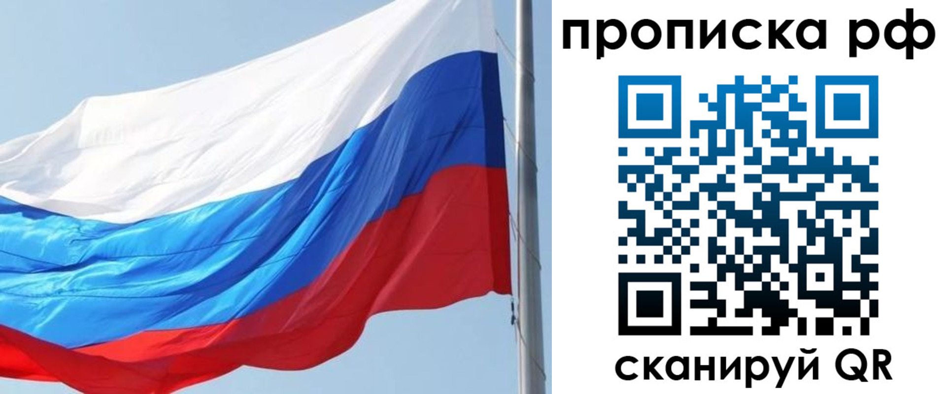 прописка гарантия в Жукове